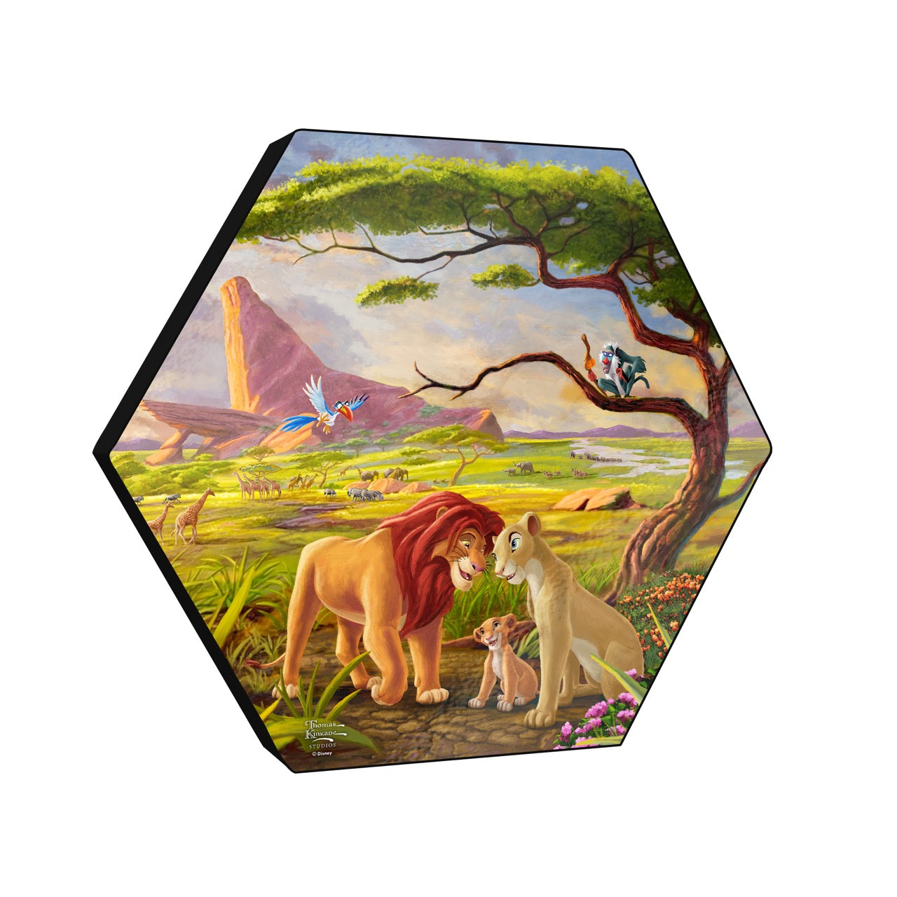 Disney (Remember Who You Are) KNEXAGON® Wood Print WPHEX8165