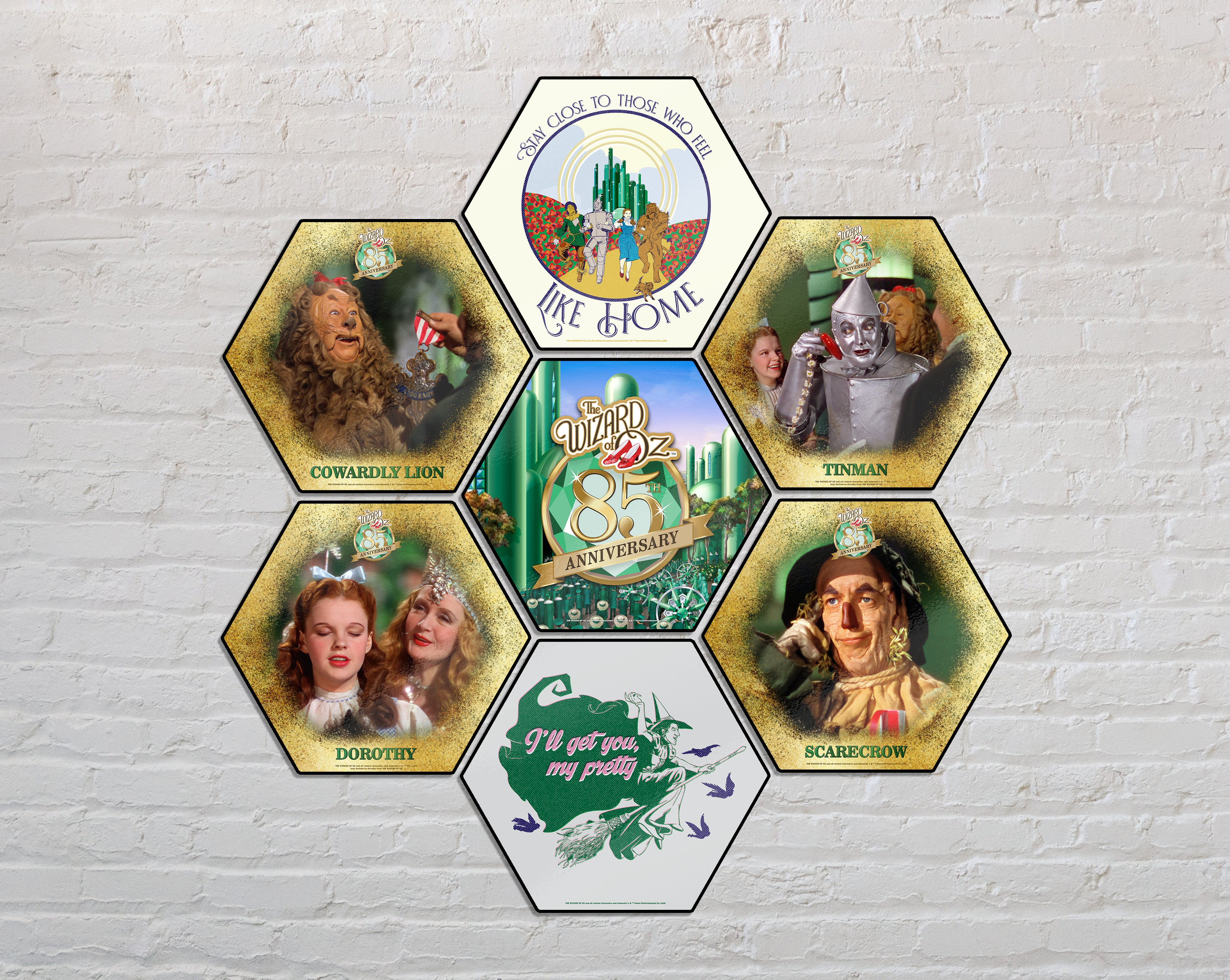 The Wizard of Oz (85th Anniversary - Wicked Witch of the West) KNEXAGON Wood Print WPHEX8295