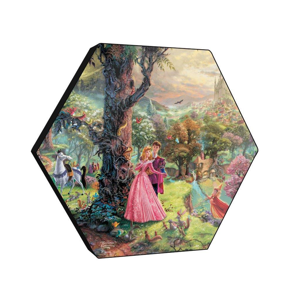 Disney (Sleeping Beauty) KNEXAGON® Wood Print WPHEX8393