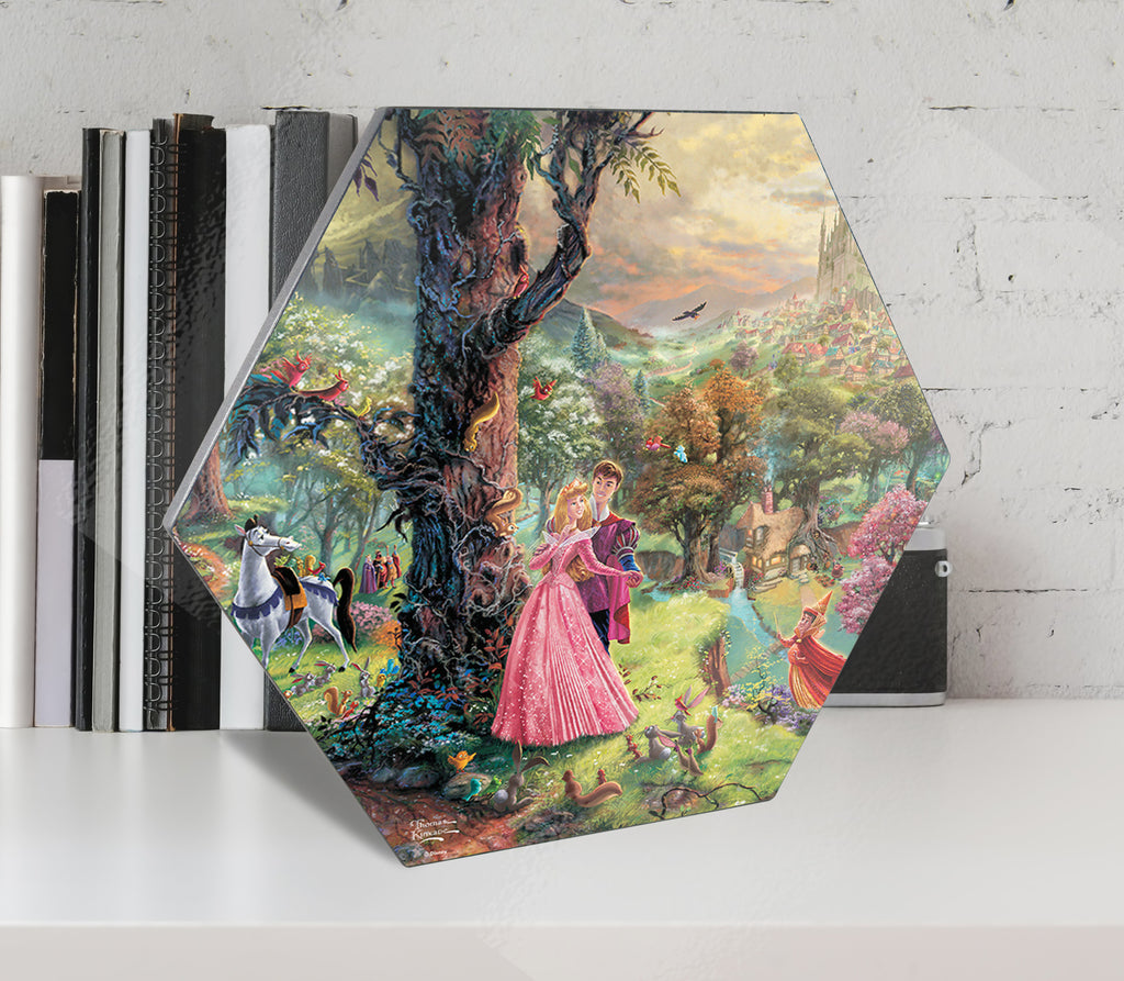 Disney (Sleeping Beauty) KNEXAGON® Wood Print WPHEX8393