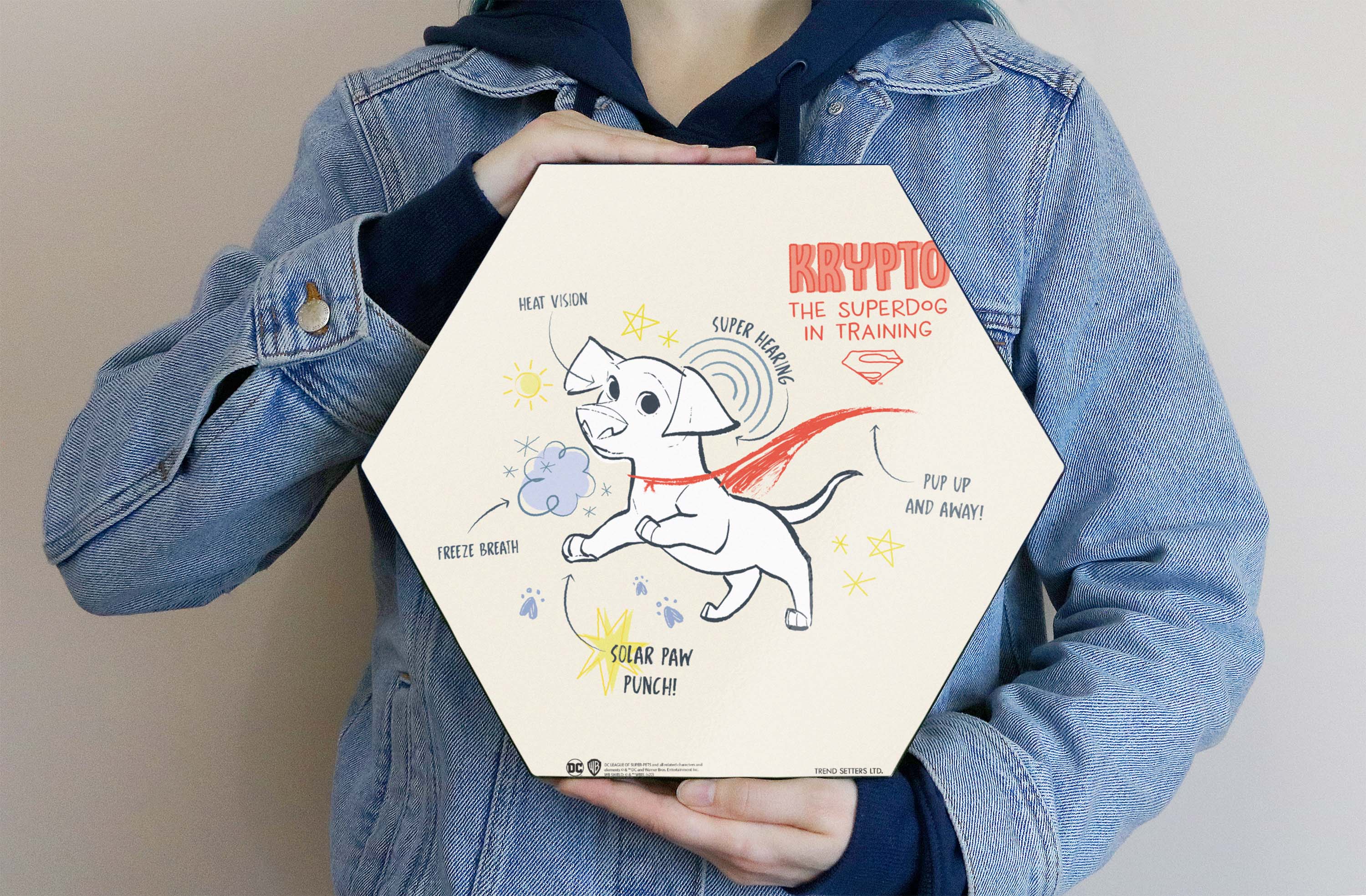 DC League of Super-Pets (Krypto) KNEXAGON® Wood Print WPHEX8621