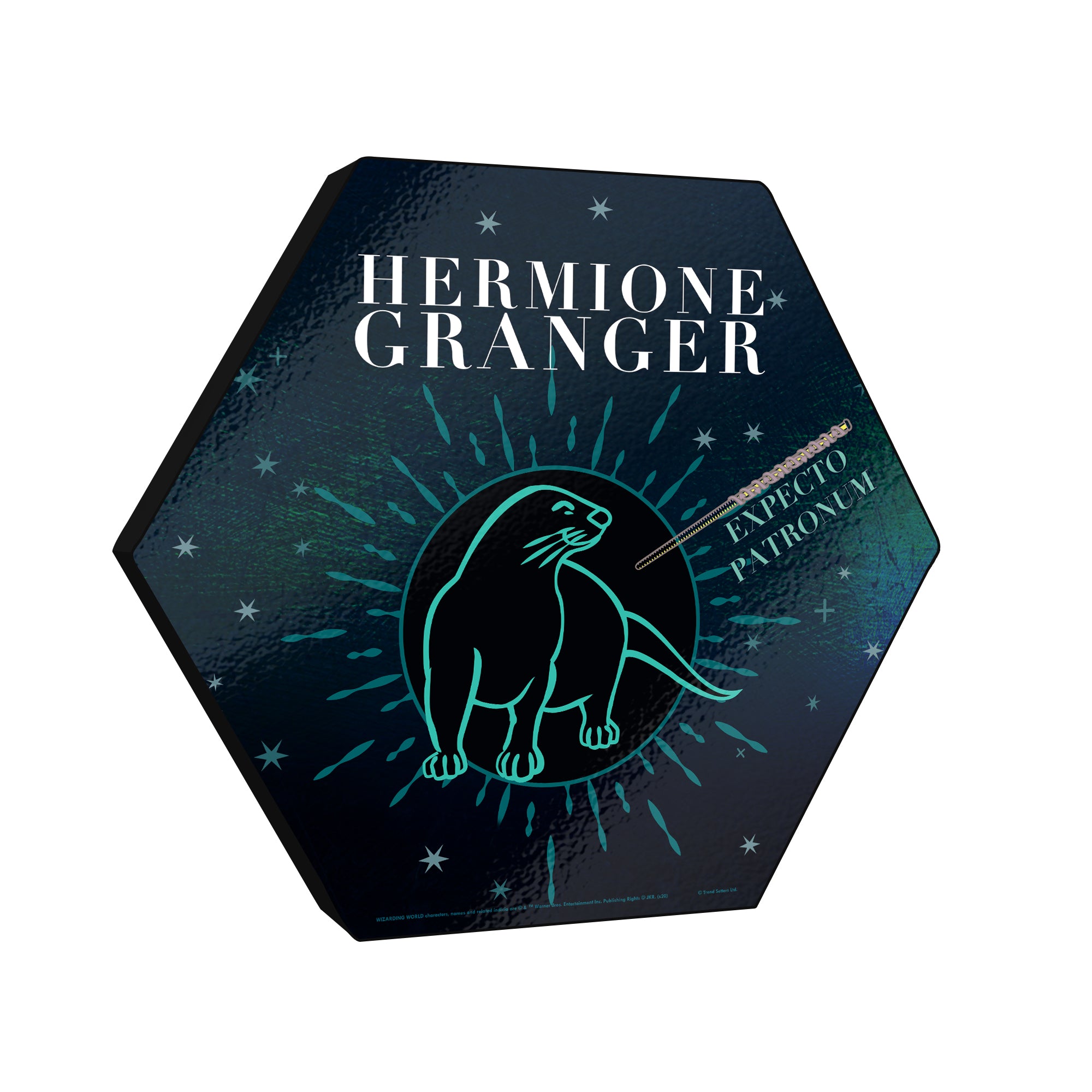 Harry Potter (Patronus - Hermione Granger) KNEXAGON Wood Print WPHEX8646HPAR