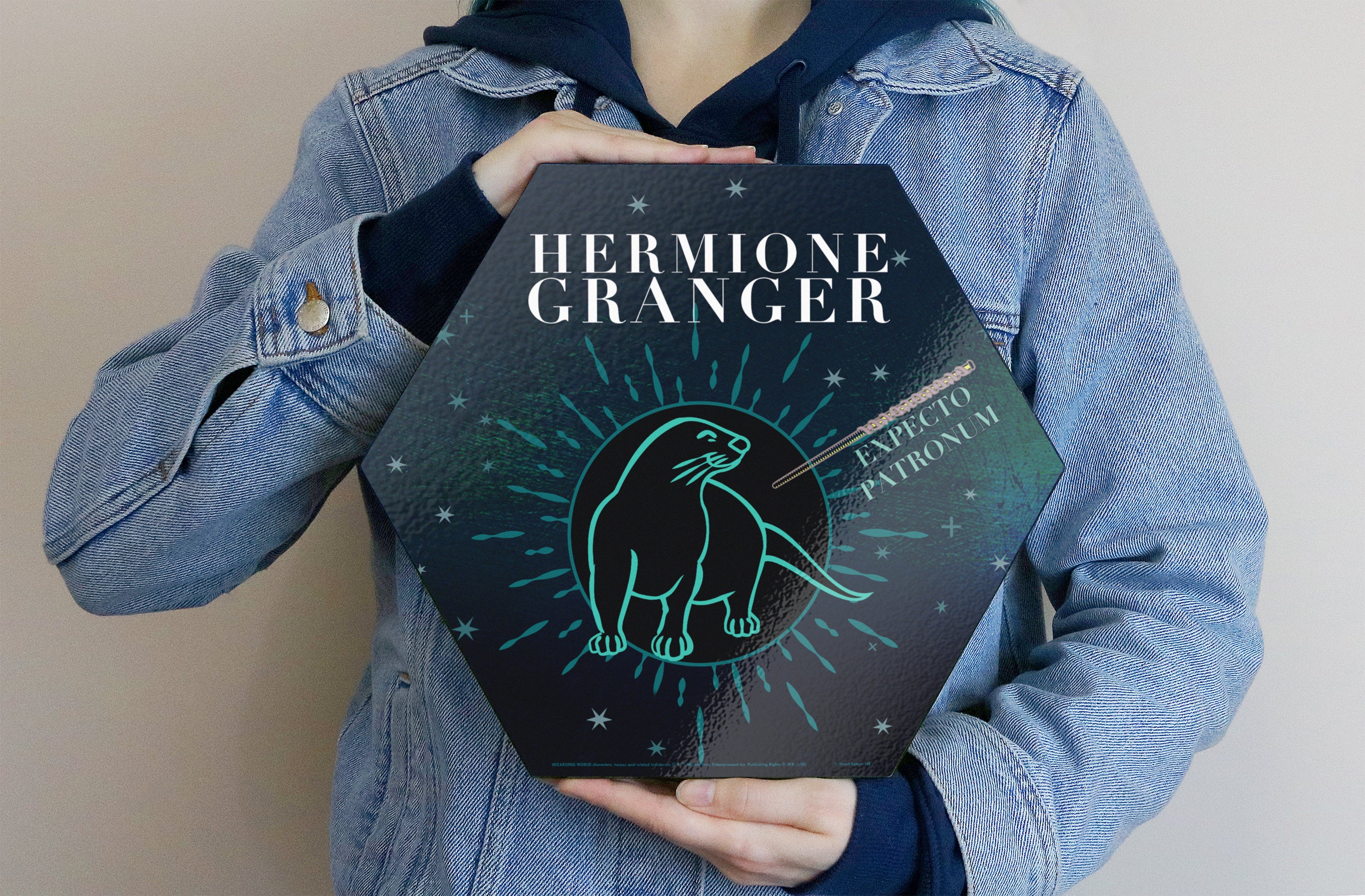 Harry Potter (Patronus - Hermione Granger) KNEXAGON Wood Print WPHEX8646HPAR