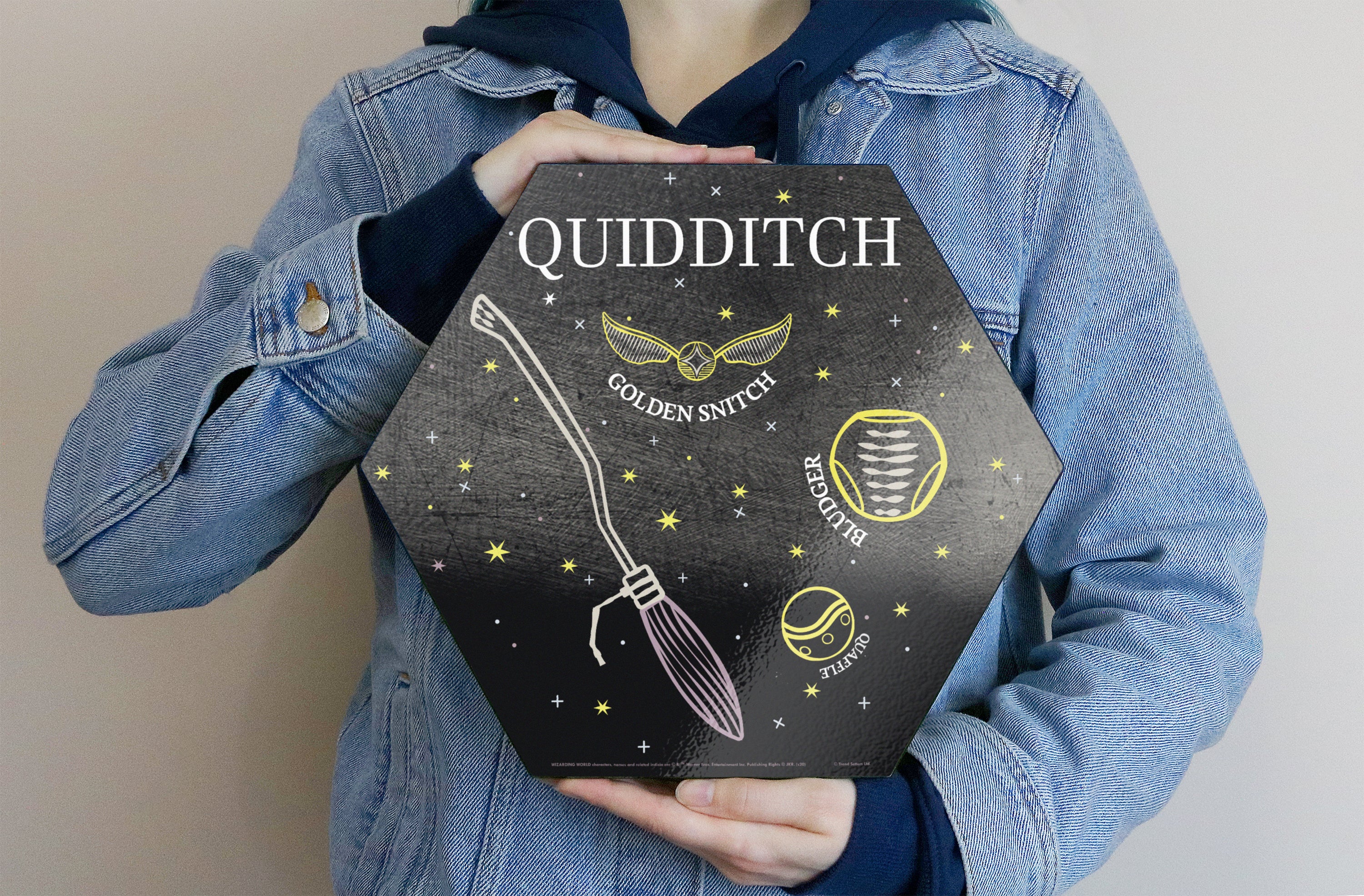 Harry Potter (Quidditch - Artifact Constellation) KNEXAGON® Wood Print WPHEX8672HPAR