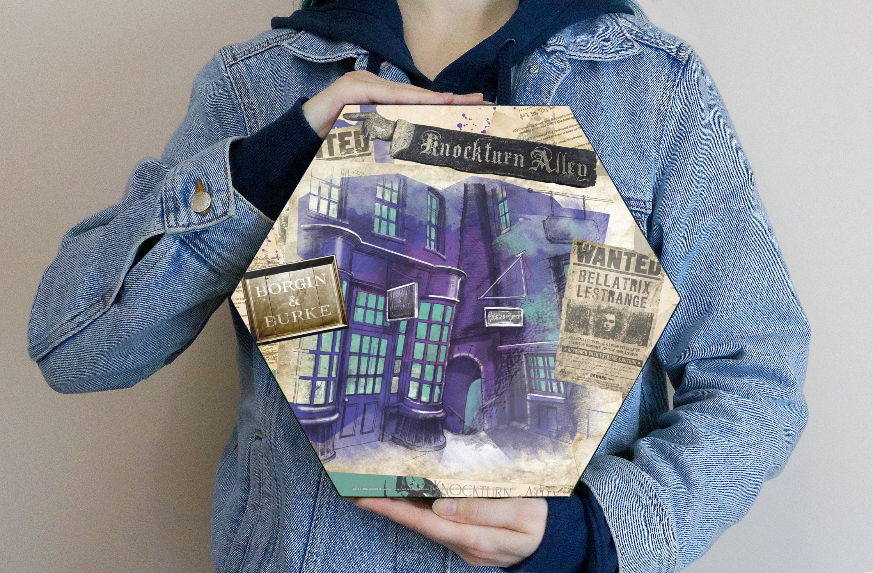 Harry Potter (Knockturn Alley) KNEXAGON® Wood Print WPHEX8748HPPL