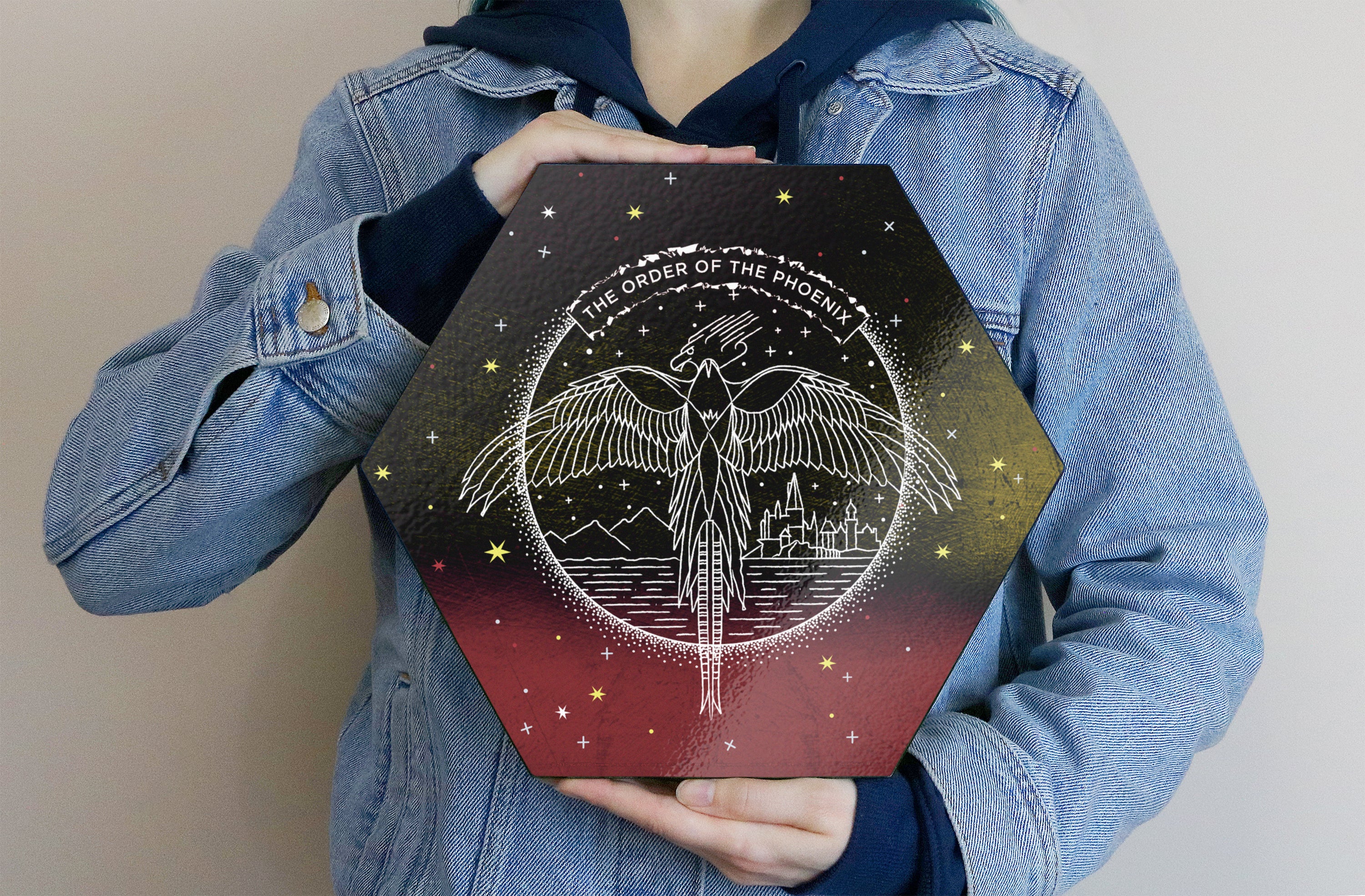 Harry Potter (Order of the Phoenix - Artifact Constellation) KNEXAGON® Wood Print WPHEX9250HPAR