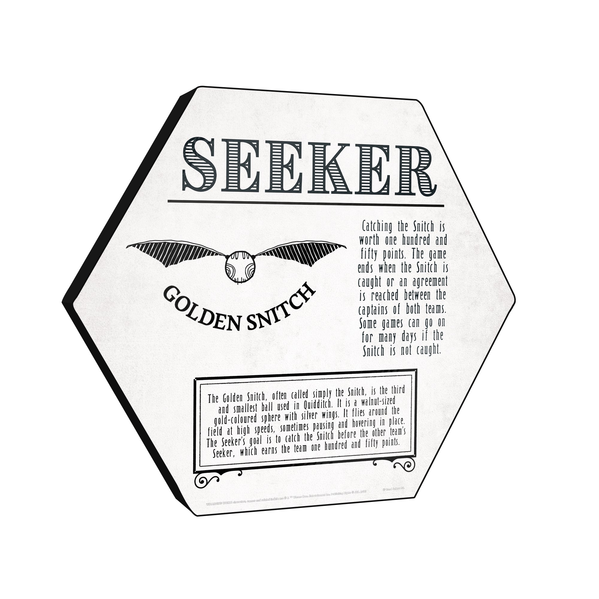 Harry Potter (Quidditch - Seeker) KNEXAGON® Wood Print WPHEX9533HPQU