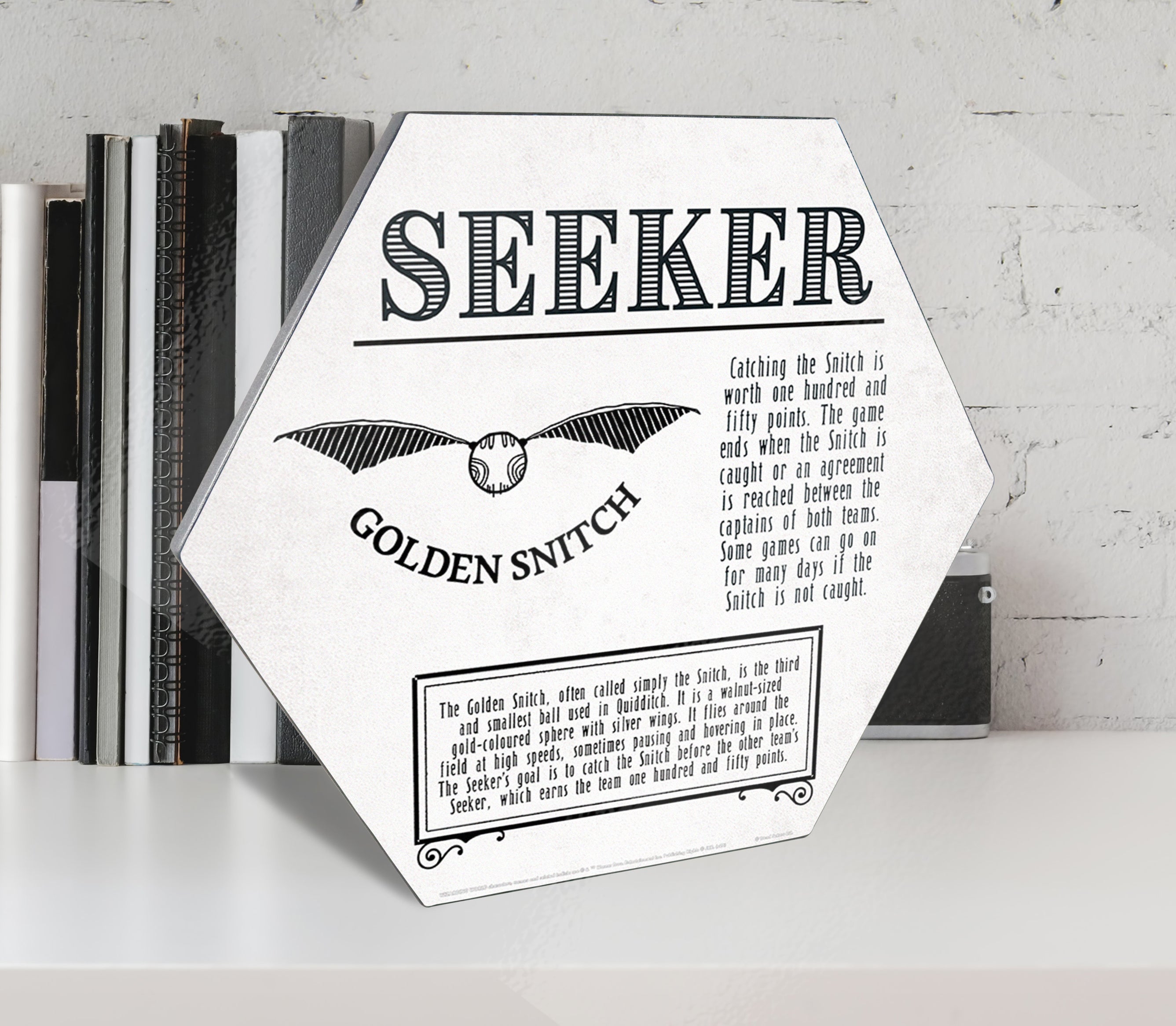 Harry Potter (Quidditch - Seeker) KNEXAGON® Wood Print WPHEX9533HPQU