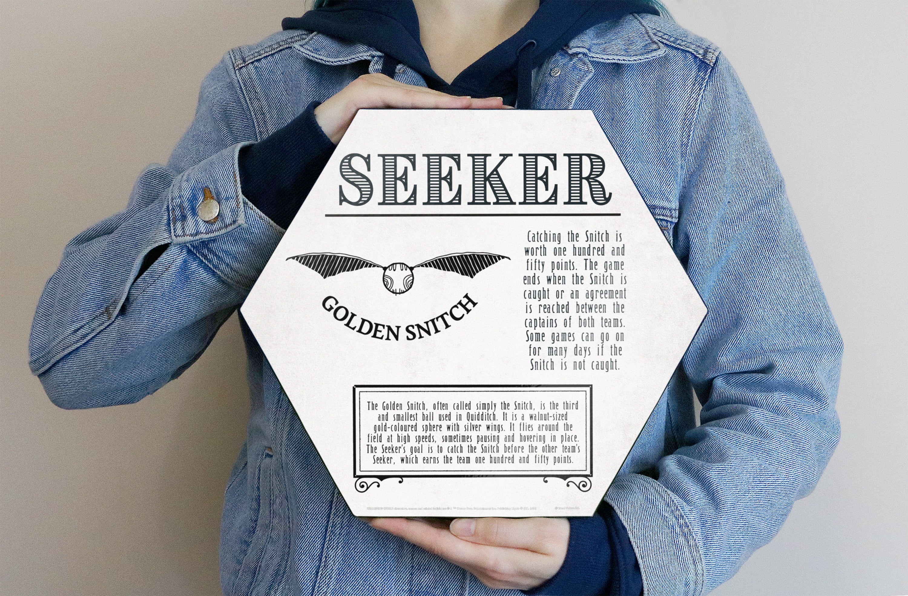 Harry Potter (Quidditch - Seeker) KNEXAGON® Wood Print WPHEX9533HPQU