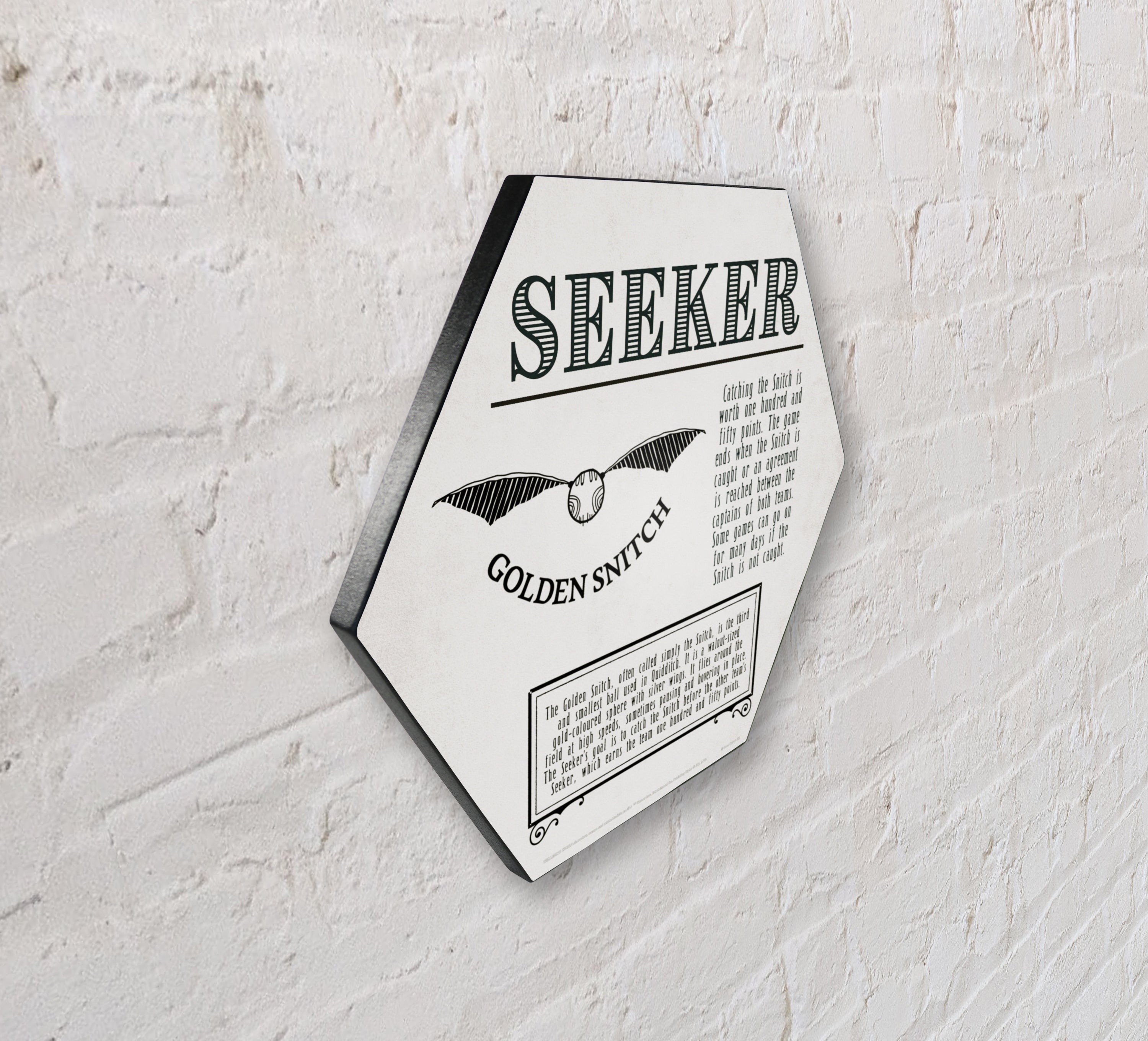 Harry Potter (Quidditch - Seeker) KNEXAGON® Wood Print WPHEX9533HPQU