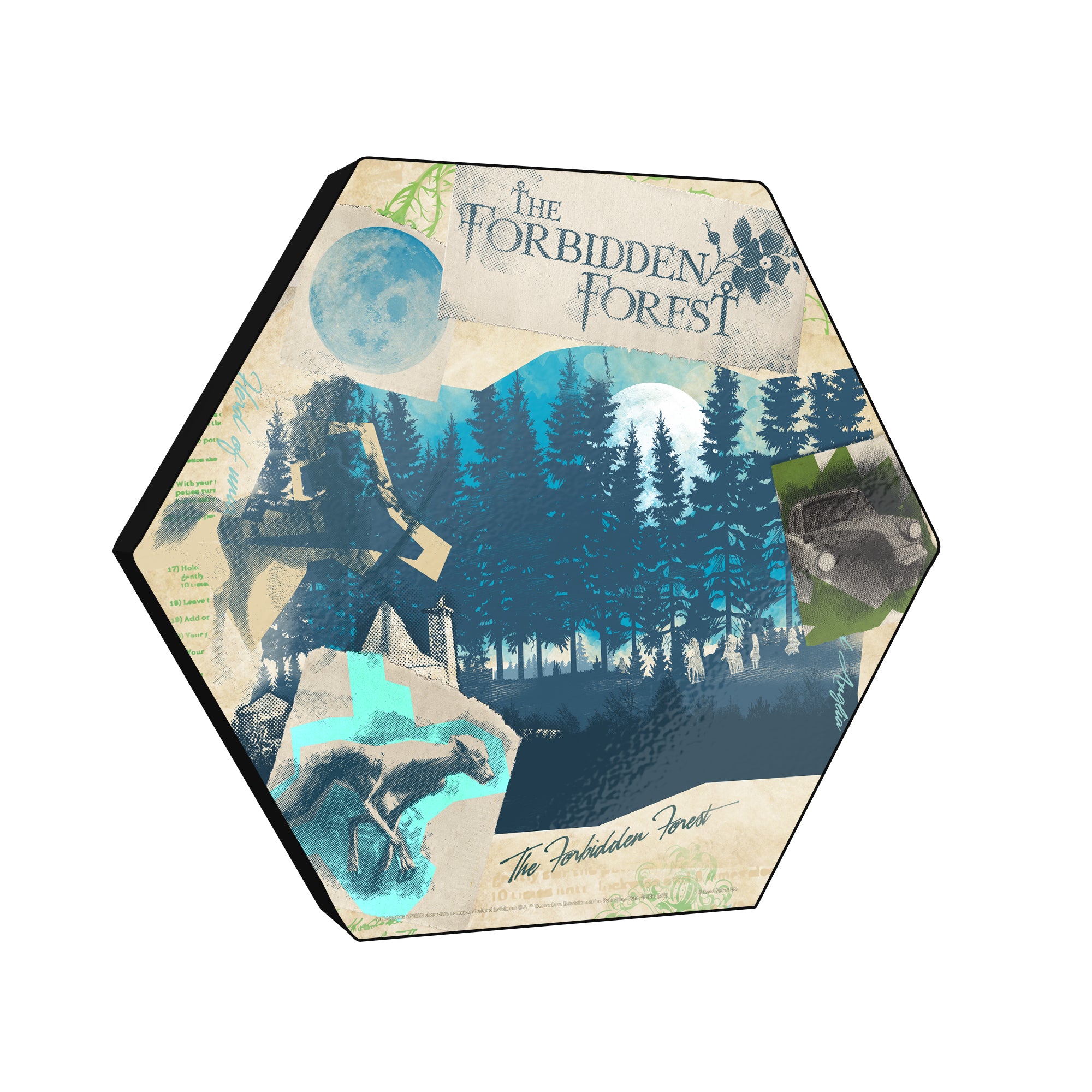 Harry Potter (The Forbidden Forest) KNEXAGON® Wood Print WPHEX9778HPPL