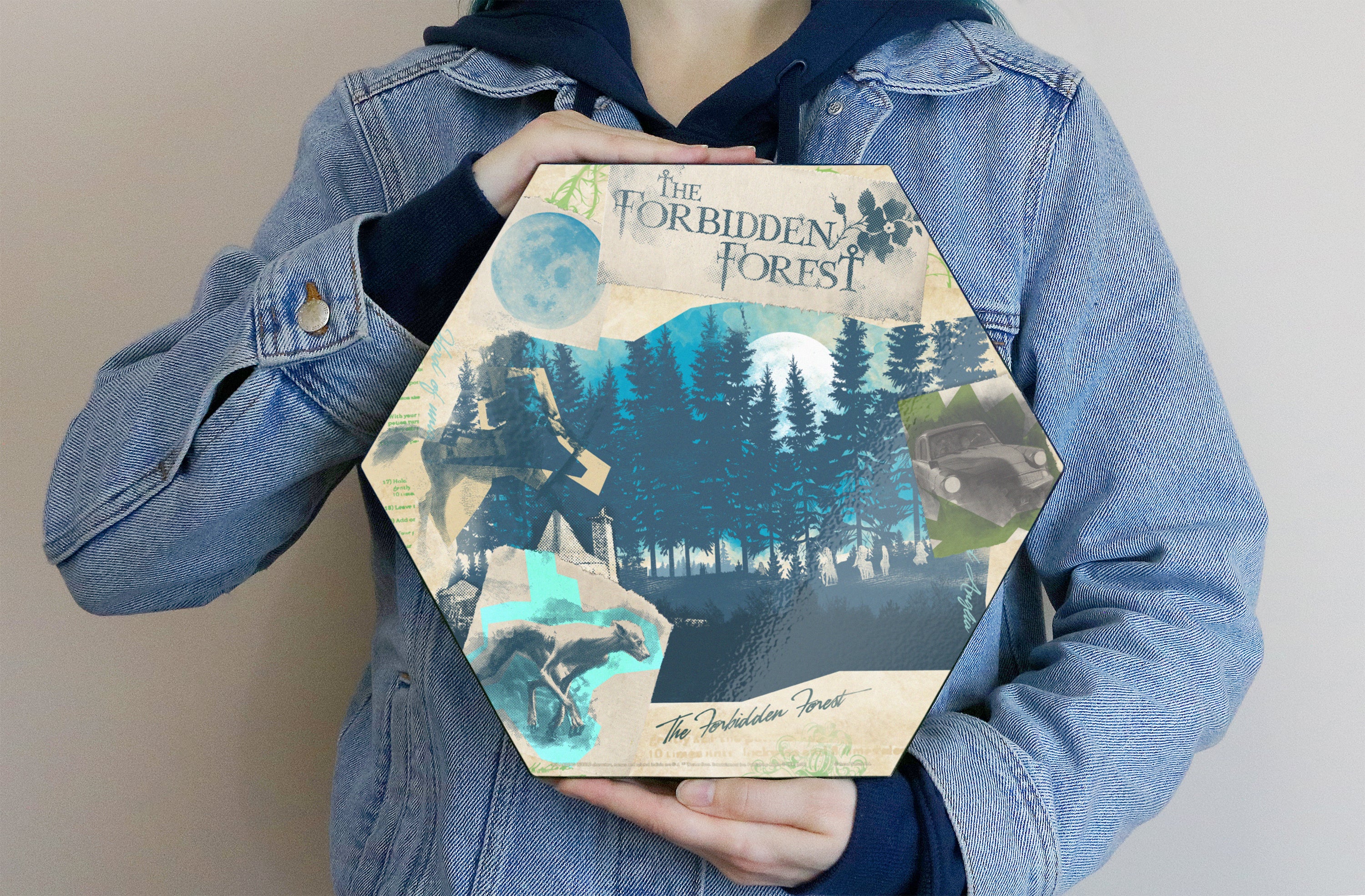 Harry Potter (The Forbidden Forest) KNEXAGON® Wood Print WPHEX9778HPPL