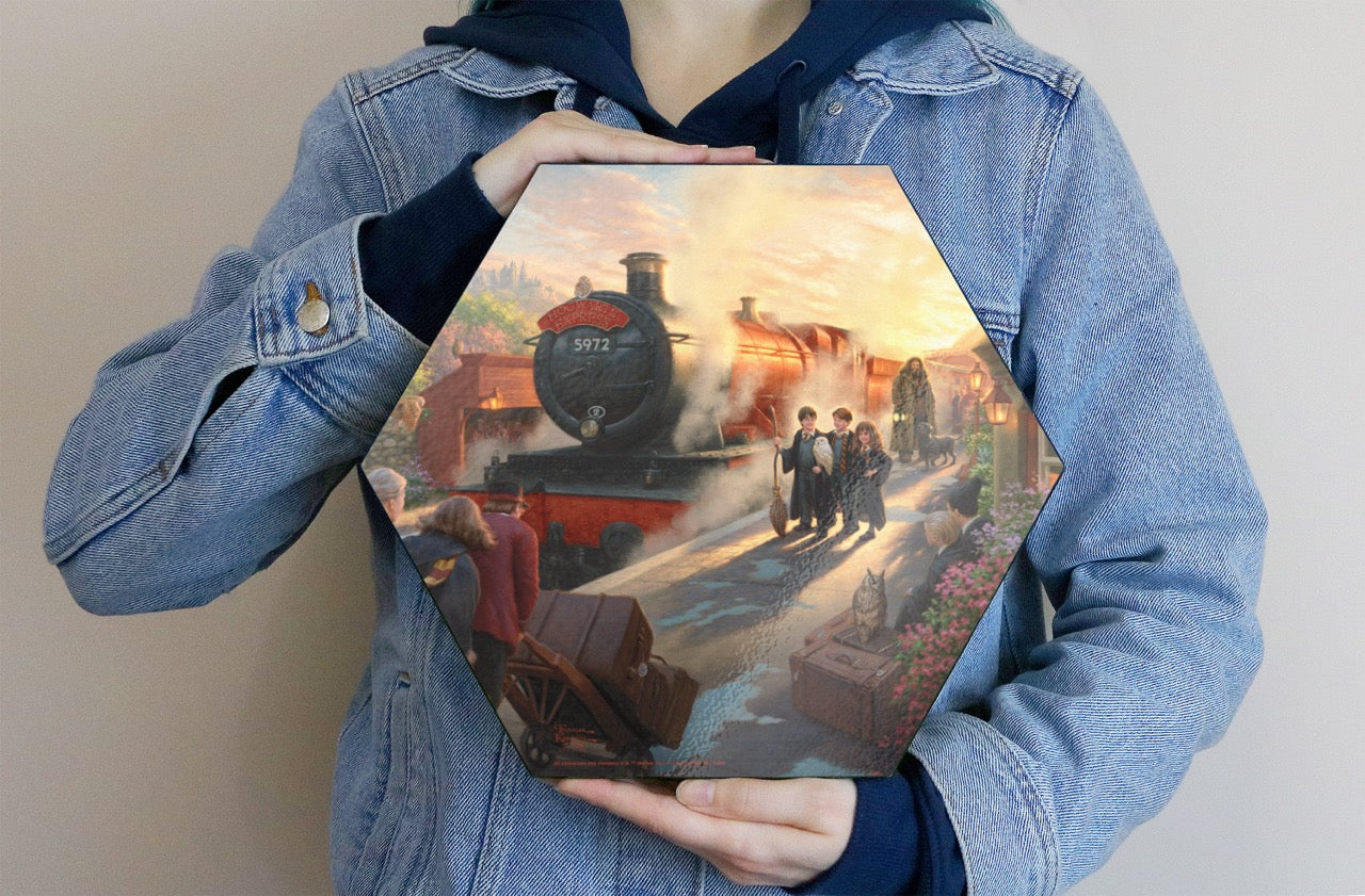 Harry Potter™ Thomas Kinkade Studios (Hogwarts Express) Knexagon Wall Art WPHEX9780