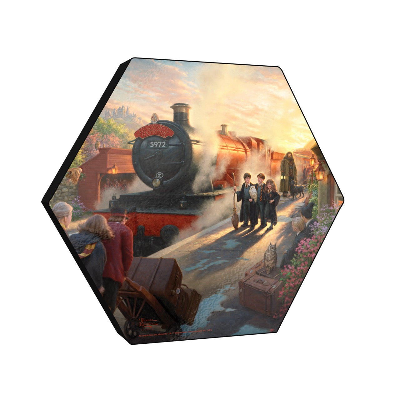 Harry Potter™ Thomas Kinkade Studios (Hogwarts Express) Knexagon Wall Art WPHEX9780