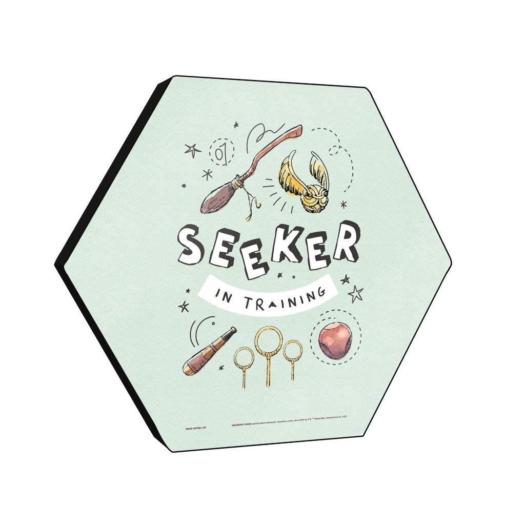 Harry Potter (Charming Vintage Seeker in Training) KNEXAGON ®Wood Print WPHEX9796CHVN