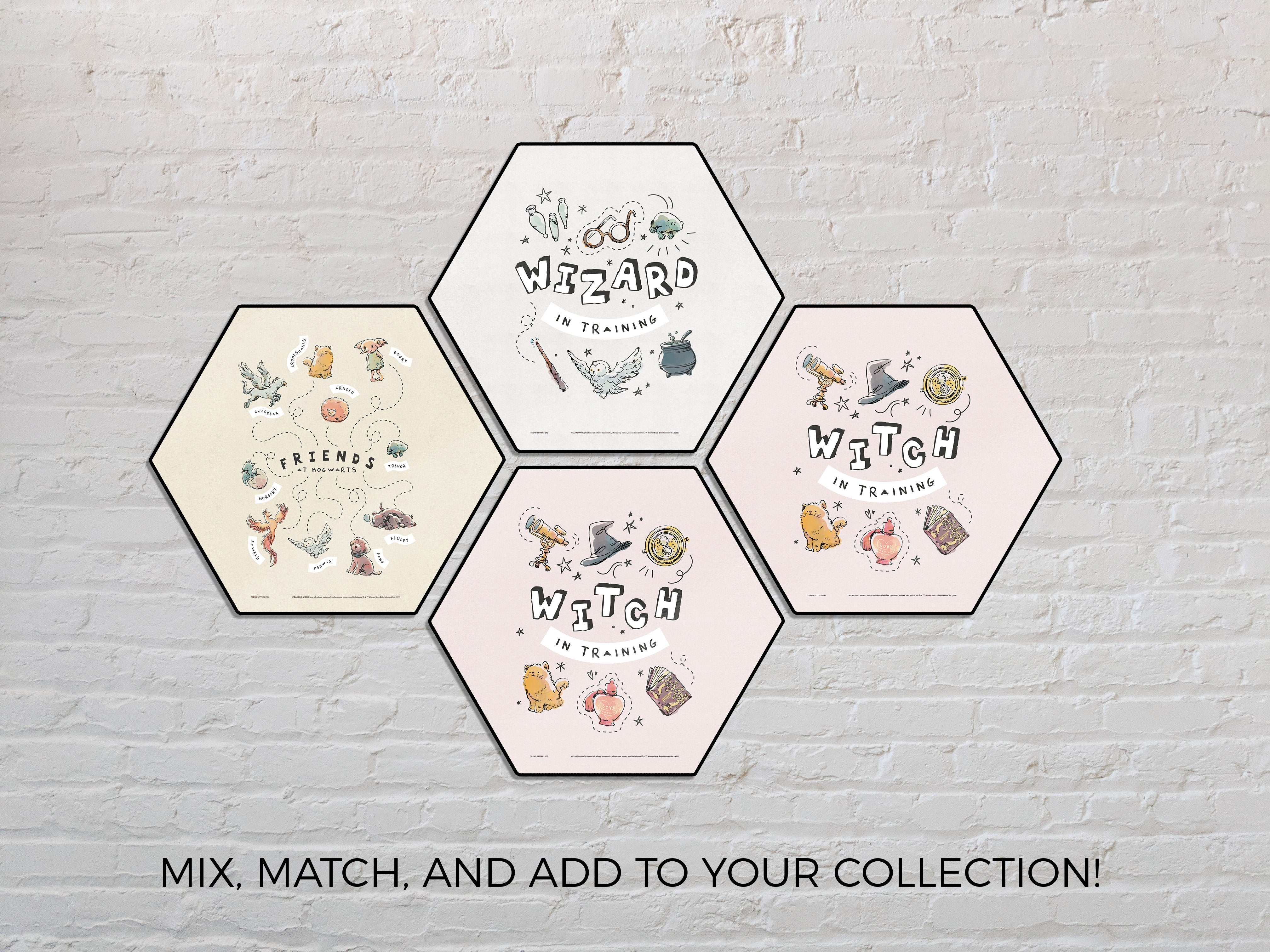 Harry Potter (Charming Vintage Seeker in Training) KNEXAGON® Wood Print WPHEX9796CHVN