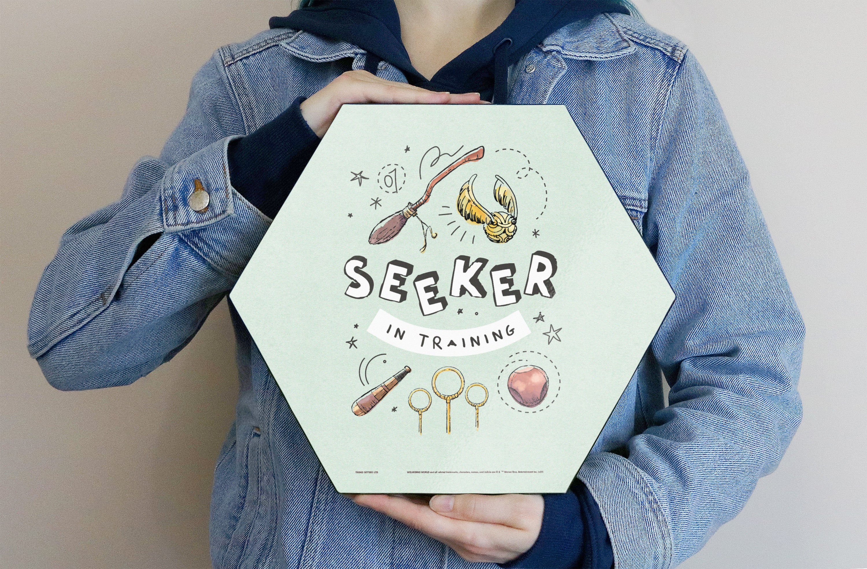 Harry Potter (Charming Vintage Seeker in Training) KNEXAGON® Wood Print WPHEX9796CHVN