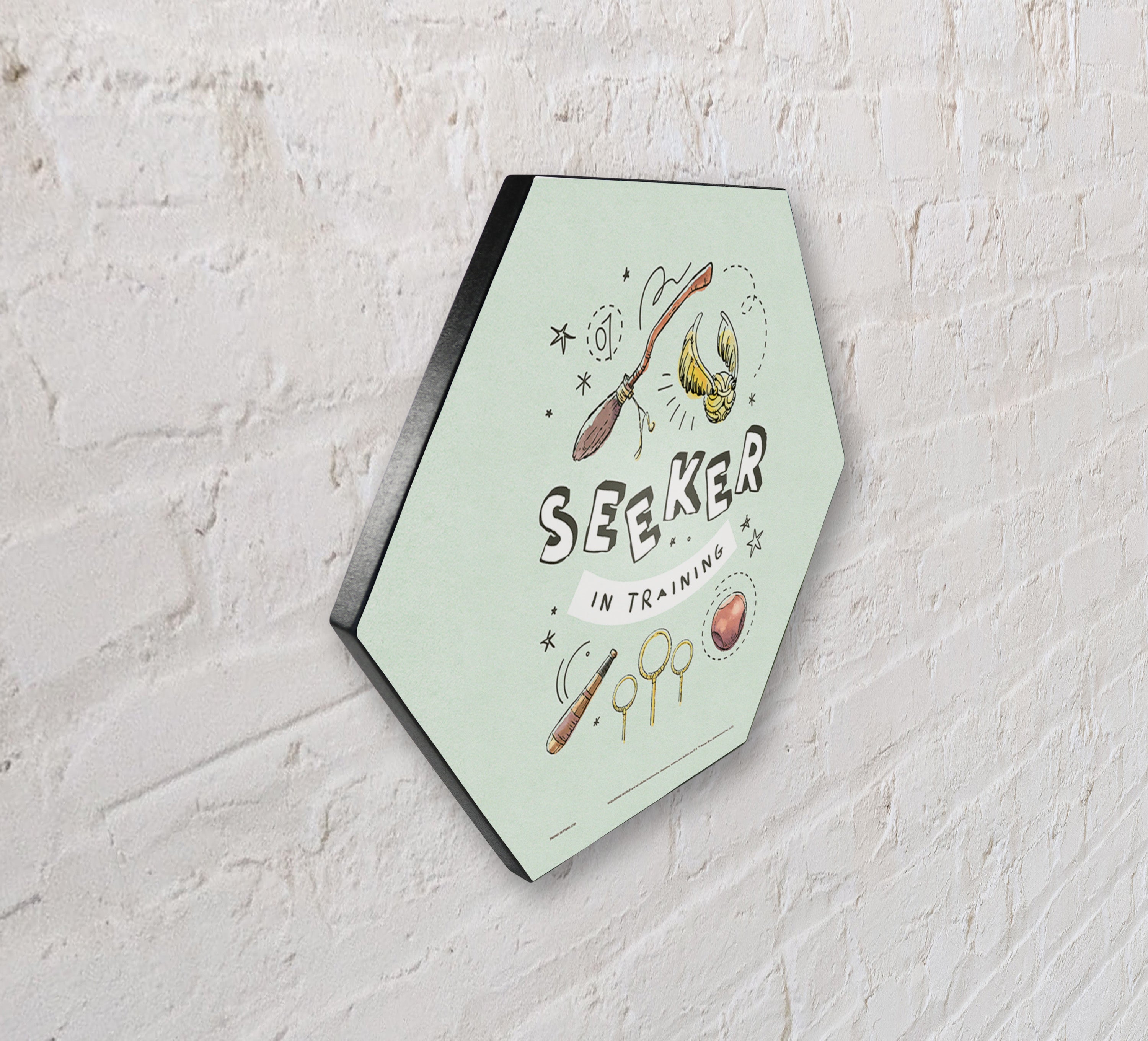 Harry Potter (Charming Vintage Seeker in Training) KNEXAGON® Wood Print WPHEX9796CHVN