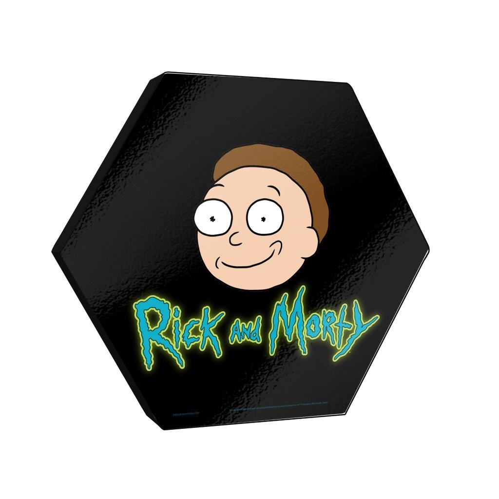 Rick and Morty (MORTY) KNEXAGON® Wood Print WPHEX9989