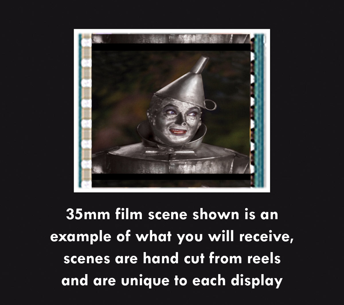 The Wizard of Oz (80th Anniversary) Limited Edition Deluxe FilmCells Framed Presentation USFC6412