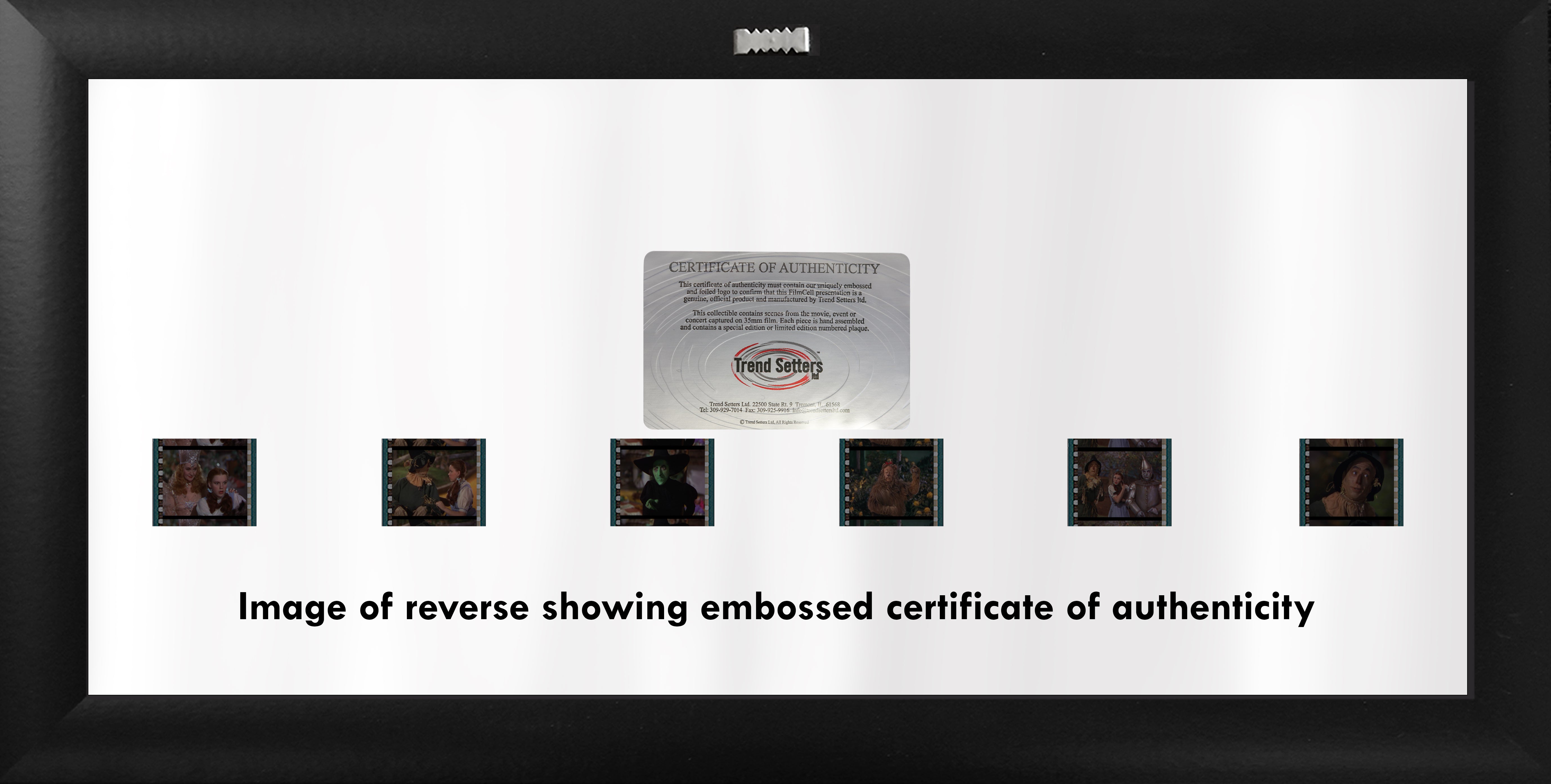 The Wizard of Oz (80th Anniversary) Limited Edition Deluxe FilmCells Framed Presentation USFC6412