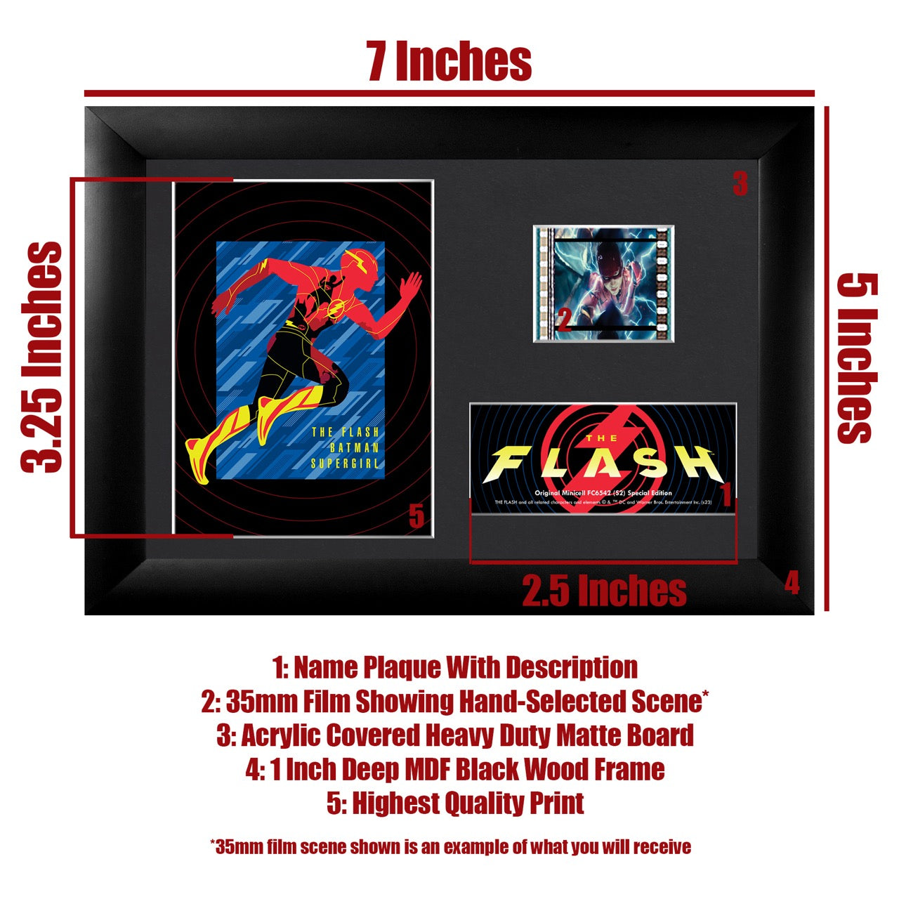 The Flash Movie (Animated Icons) Minicell FilmCells Framed Desktop Presentation USFC6542
