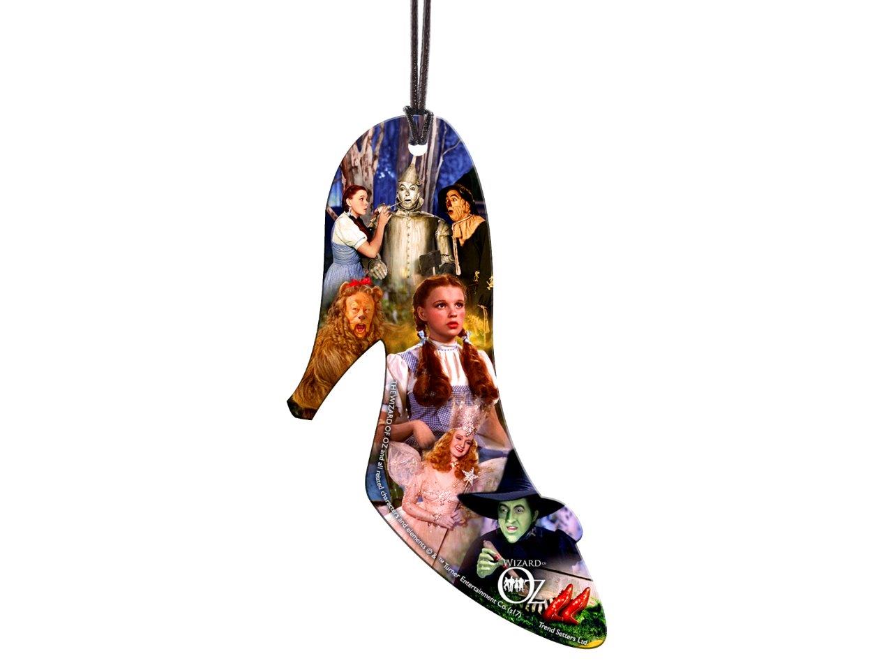 The Wizard of Oz (Character Collage) Hanging Acrylic Print ACPSHOE178