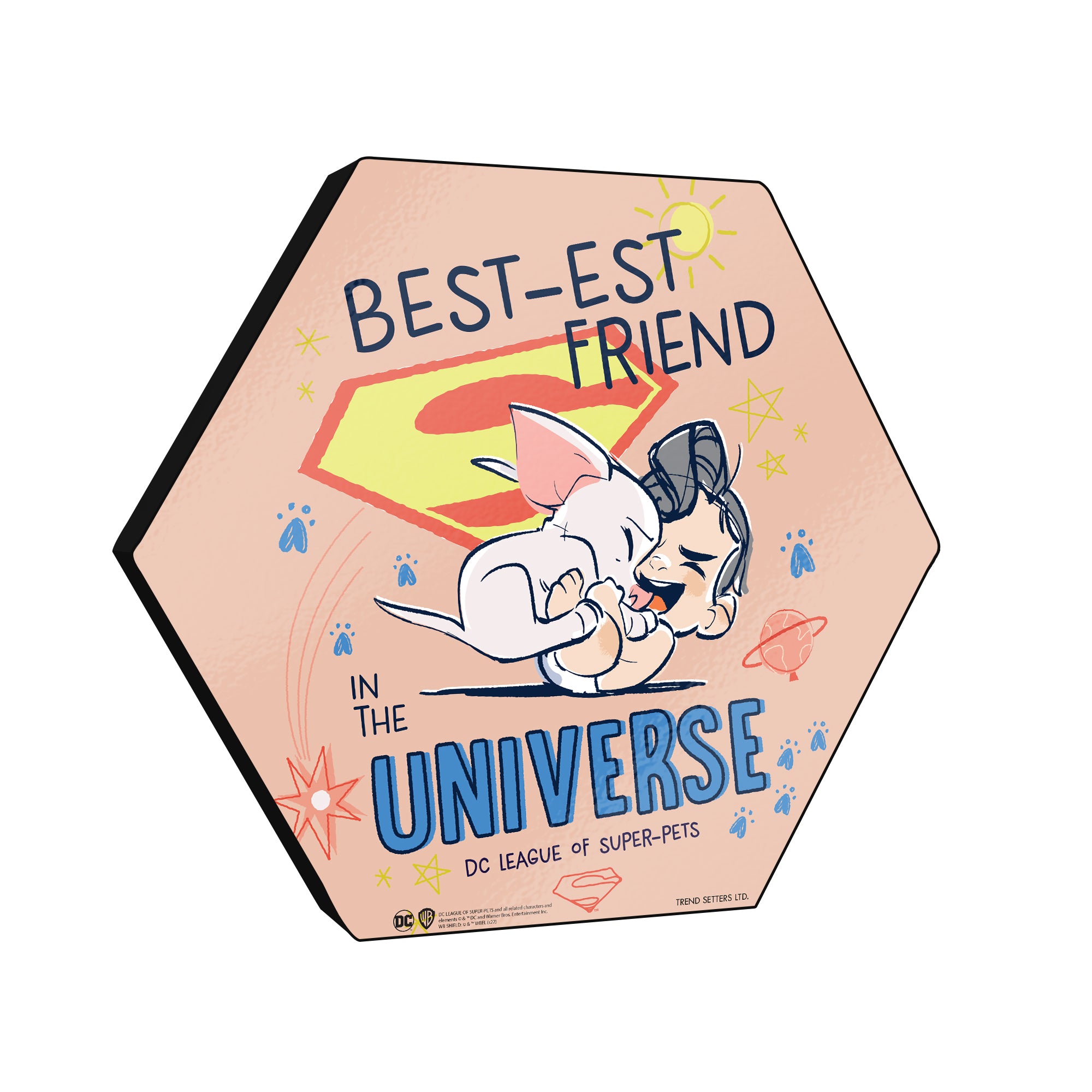 DC League of Super-Pets (Bestest Friend) KNEXAGON® Wood Print WPHEX3456