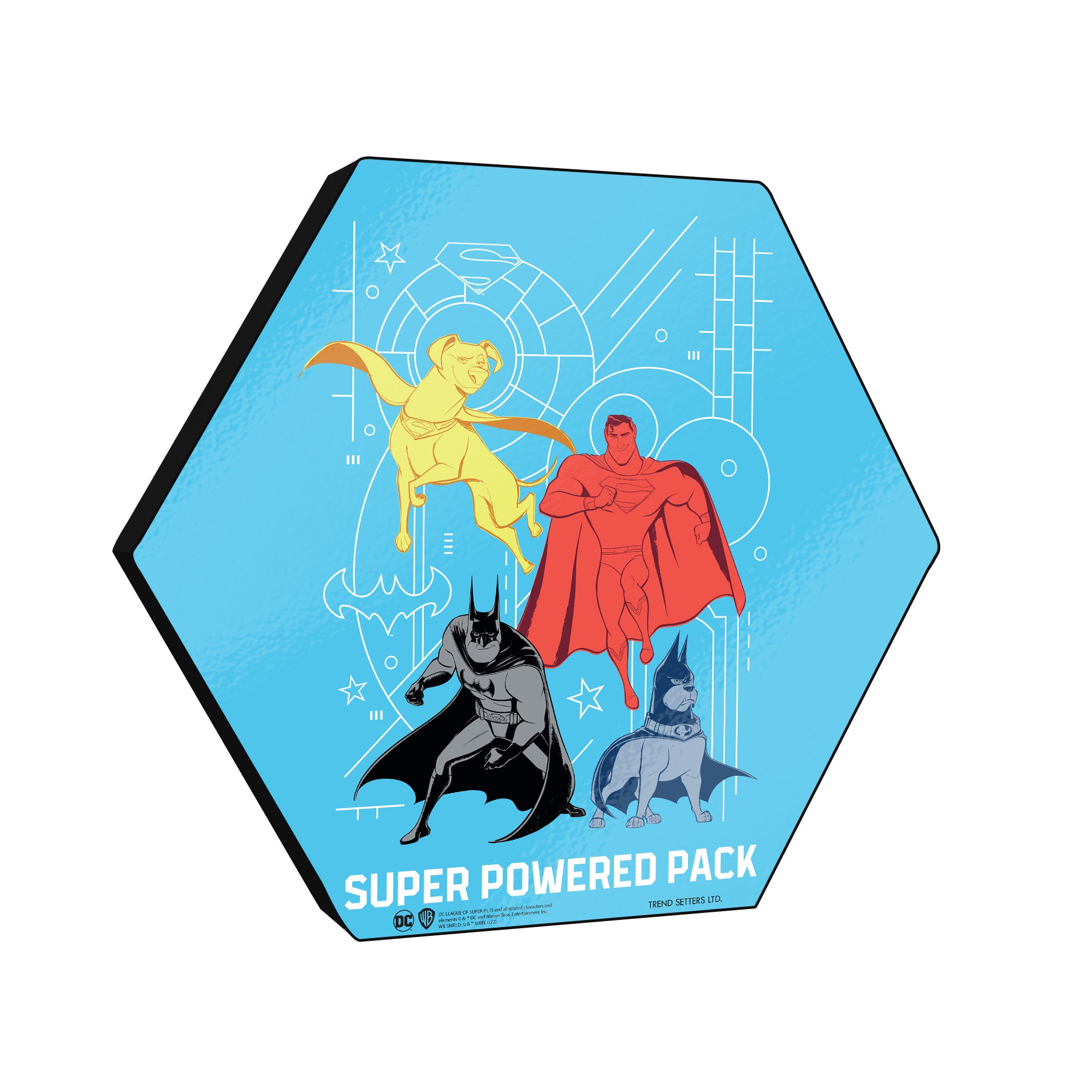 DC League of Super-Pets (Super Powered Squad) KNEXAGON® Wood Print WPHEX4181
