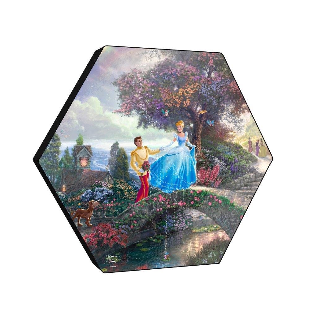 Disney (Cinderella Wishes Upon a Dream) KNEXAGON® Wood Print WPHEX6025
