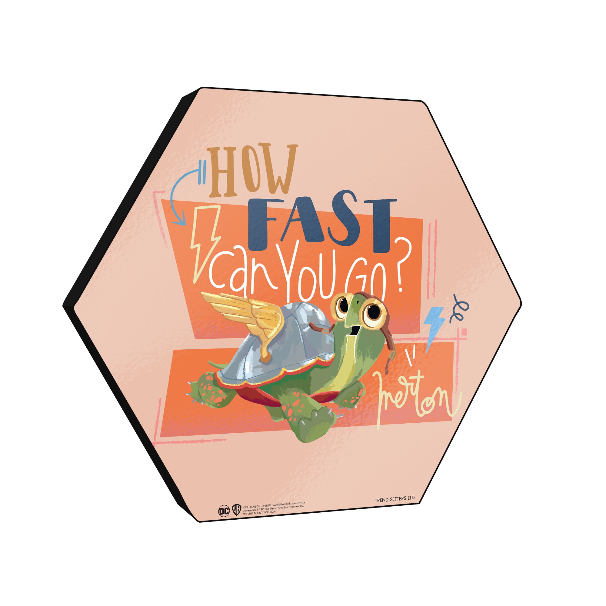 DC League of Super-Pets (How Fast Can You Go) KNEXAGON® Wood Print WPHEX7711